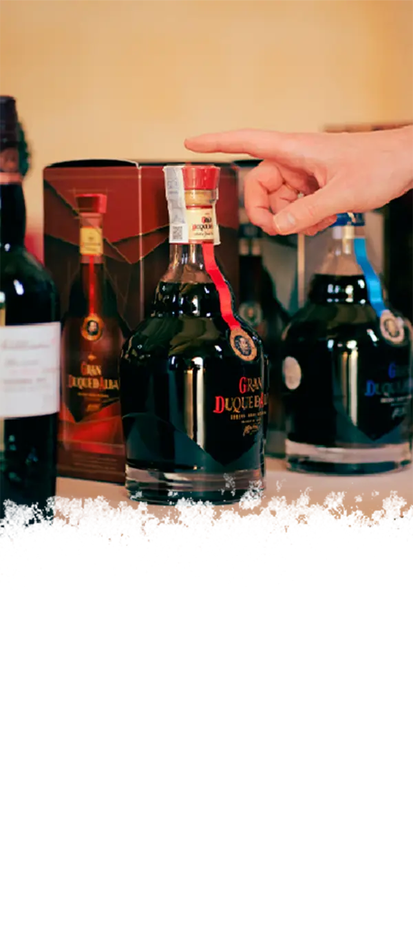 Segundo Premio Master Cocktail